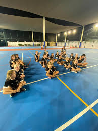 Image result for Ledbury Magpies Netball Club