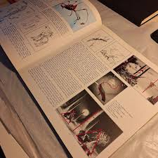 Image result for stop the slaughter rodney matthews