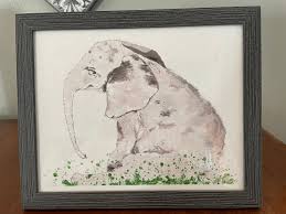 Image result for sad elephant