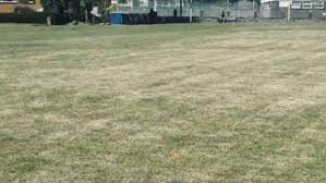 Image result for Dinas Powys Cricket Club