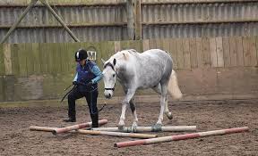 Image result for Blackpool & Fylde Horse Club