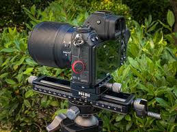 Attēlu rezultāti vaicājumam “Licea minima macro”