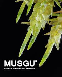 Attēlu rezultāti vaicājumam “Calliergon giganteum”