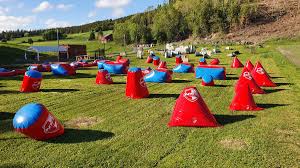 Image result for OX Kings - Paintball