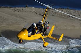 Image result for gepetto tehron