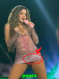 Resultado de imagem para "shakira" calcinha