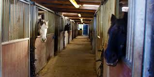 Image result for The Riding Centre