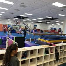 Image result for Acrobrats