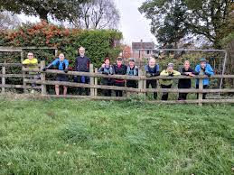 Image result for Shelton Striders