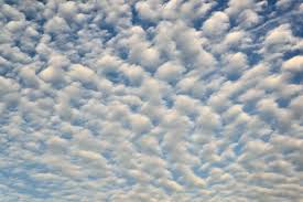 Attēlu rezultāti vaicājumam “altocumulus”