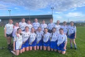Image result for Causeway Hurling Club