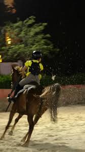 Image result for East Flegg Riding Club