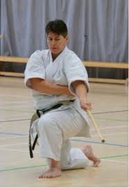 Image result for Ronin Yudansha Ryu