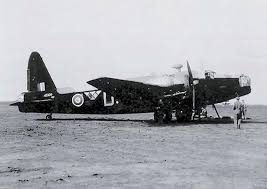 Image result for Wellington Whirlwinds Tc