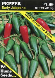 Afbeeldingsresultaat voor jalapeno early hot pepper