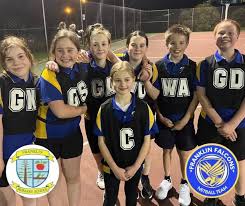 Image result for Falcons Netball Club