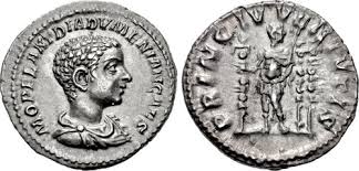 Attēlu rezultāti vaicājumam “Diderma roanense”