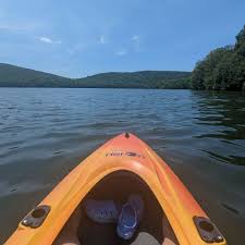 Image result for Ringwood Canoe Club