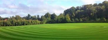 Image result for Henley Cricket Club