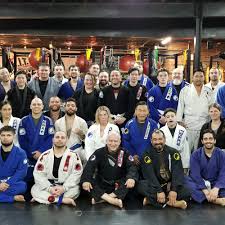 Image result for Budo Shin Ryu Kempo Jujitsu Academy