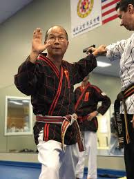 Image result for United Sport Karate