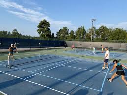 Image result for PICKLEBALL GORLESTON
