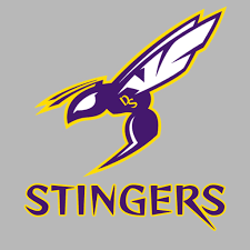 Image result for Stingers Korfball Club