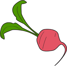 Afbeeldingsresultaat voor earliana tomato