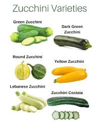 Image result for Zucchini
