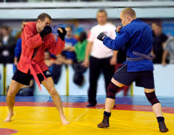 Image result for Combat Sambo