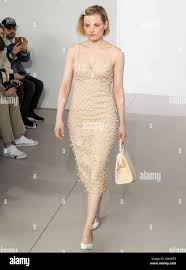 Image result for Guinevere van Seenus