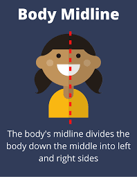 Image result for body midline