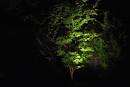 Outdoor Lighting | Landscaping Portland Oregon