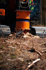 Image result for dipperfox tehron