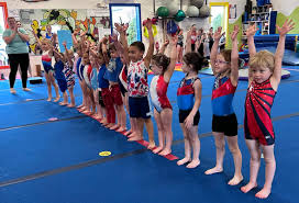 Image result for Little Tricks Gymnastics - Pre-School and Play Gym