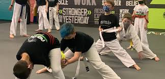 Image result for Skillz Martial Arts