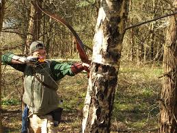 Image result for Lionheart Company Of Bowmen