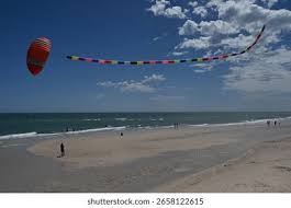 Image result for Brighton Kite Fliers