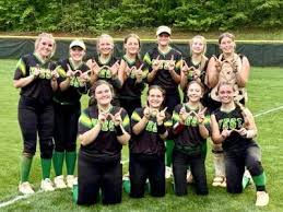 Image result for Dragons Softball Club