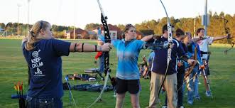Image result for Blue Arrows Archery Club