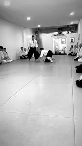 Image result for Aikido Rickmansworth