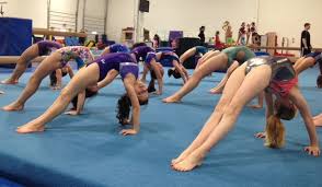 Image result for L&G Acrobatic Gymnastics Club