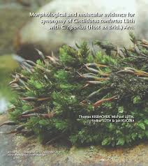 Attēlu rezultāti vaicājumam “Cinclidotus danubicus cells”