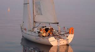 Image result for Pogo minitransat