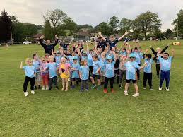 Image result for Dinas Powys Cricket Club