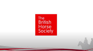 Image result for British Horse Society
