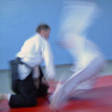 Image result for Basingstoke Aikido Club