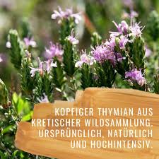 Image result for Thymian