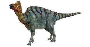 Bildergebnis für corythosaurus