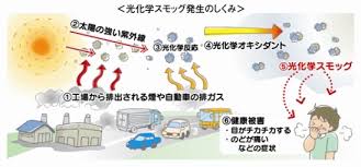 Image result for 光化学SMOG